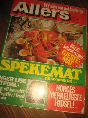 1980,nr 022, ALLERS. INGER LISE RYPDAL