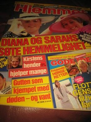 1988,nr 014, HJEMMET DIANA OG SARAH.