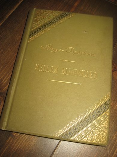 Thormodsæther: ASPERHEIM.  MELLEM BLINDSKJÆR. 1893.