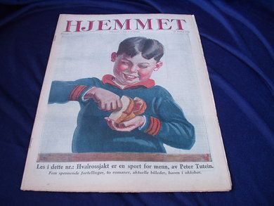 1928,nr 041, Hjemmet.