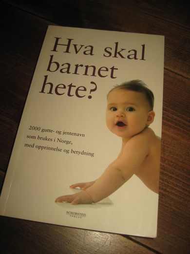 Hva skal barnet hete? 2008. 