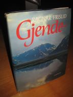 FRISLID: Gjende. 1982.