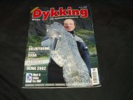 2002,nr 006, Dykking