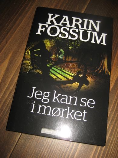 FOSSUM, KARIN: JEG KAN SE I MØRKET. 2011.