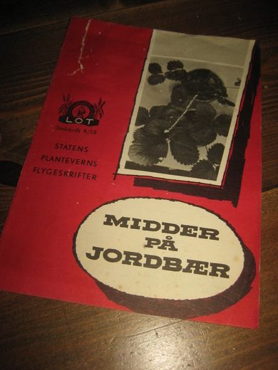 MIDDER PÅ JORDBÆR. 1958.