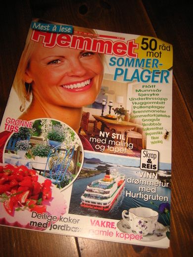 2008,nr 027, Hjemmet.