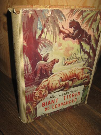 Westerlund: BLANT TIGER OG LEOPARDER. 1949.