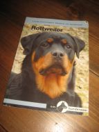 Rottweiler. 