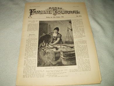 1900,nr 043, NORSK FAMILIE JOURNAL.