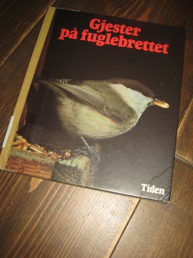 Rogde: Gjester på fuglebrettet. 1982.