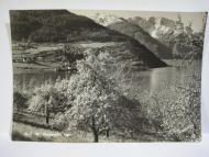 Kaupanger, Sogn. Normann, 12-7-40. Pent stempla STJØRDAL 28.VI.56.