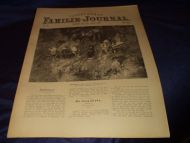 1895,nr 032, Illustrert Familie - Journal