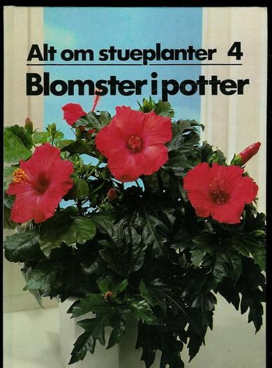 Blomster i potter. 4.