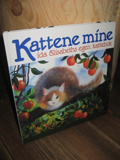 Kattene mine. 1992.