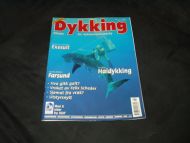 2006,nr 002, Dykking