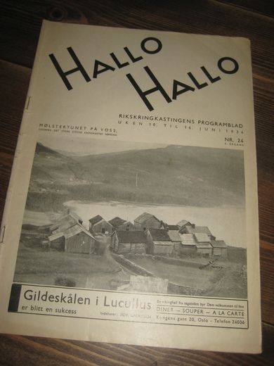 1934,nr 024, HALLO HALLO.