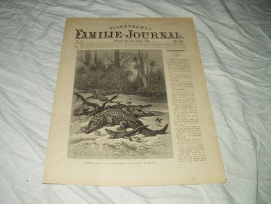 1894,nr 041, Illustrert Familie Journal.