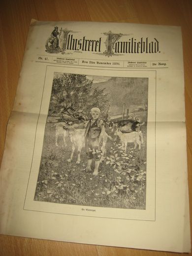 1891,nr 047, Illustreret Familieblad.