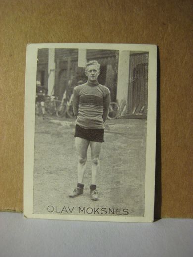 OLAV MOKSNES.