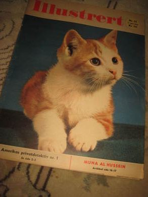 1962,nr 015, ILLUSTRERT. MUNA AL HUSSEIN