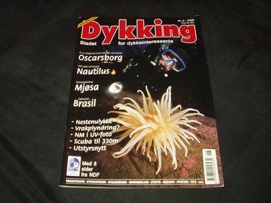 2005,nr 006, Dykking