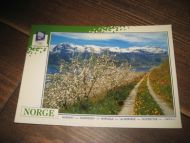 061, LOOC 1991,  Fruktblomstring i Hardanger.