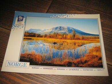 048, LOOC 1991, Skogshorn, Hemsedal.