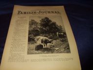 1895,nr 036, Illustrert Familie - Journal