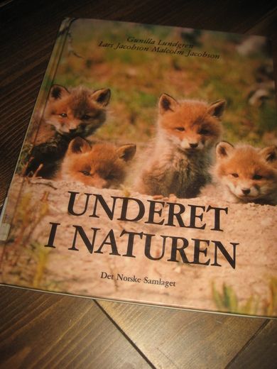 Lundgren: UNDERET I NATUREN. 1990.