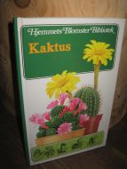 Kaktus. 1985.