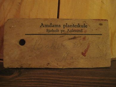 Merkeplate fra Amdams planteskule, Sjøholt pr. Aalesund, 30-40 tallet.