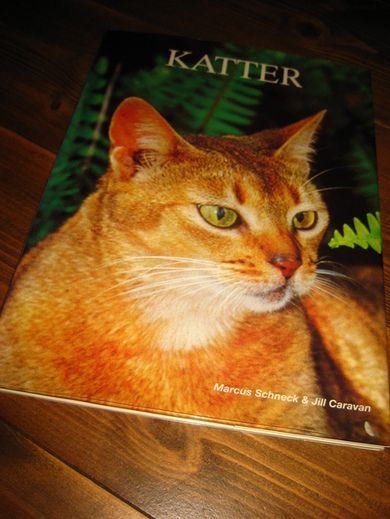 KATTER. 1997.