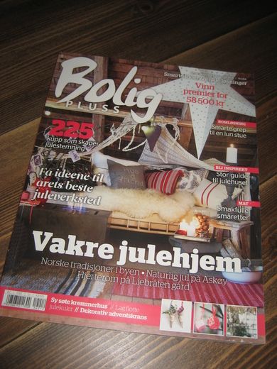 2011,nr 012, Bolig PLUSS