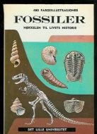 FOSSILER. NØKKELEN TIL LIVETS HISTORIE. 1965.