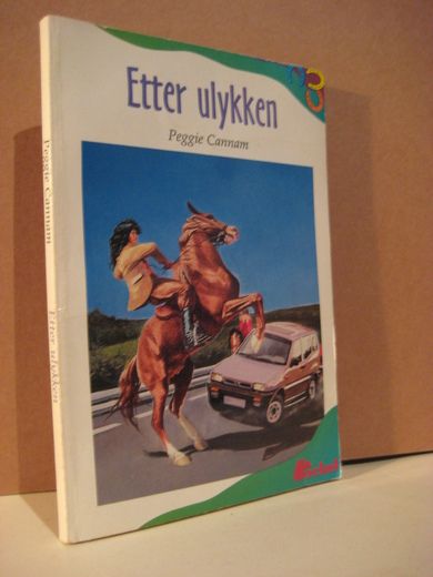 Cannman: Etter ulykken. 1995