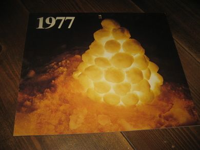 1977, strøken, ubrukt kallender fra DOMUS