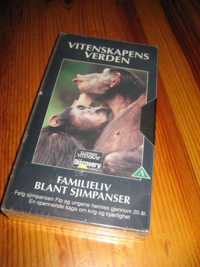 VITENSKAPENS VERDEN. FAMILIELIV BLANT SJIMPANSER. 90 min.