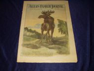 1916,nr 038, Allers Familie Journal