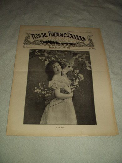 1904,nr 024, NORSK FAMILIE JOURNAL