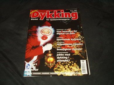 2004,nr 006, Dykking