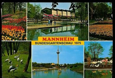 MANNHEIM. 1975