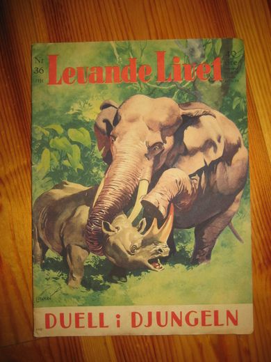 1951,nr 036, Levande Livet.