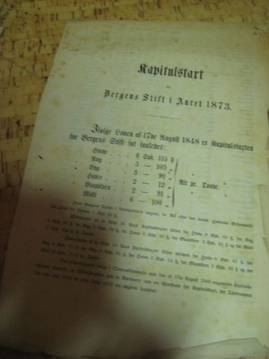 Kapitalstart for Bergens Stift i Aaret 1873.