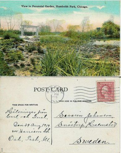 View in Perennial Humbolt Park, Chicago, 1919