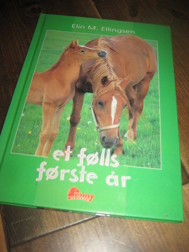 Ellingsen: et følls første år. 1997.