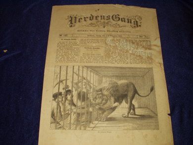 1876,nr 142, Verdens Gang