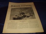 1895,nr 019, Illustrert Familie - Journal