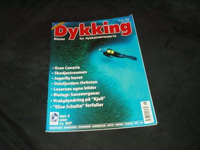 2006,nr 006, Dykking