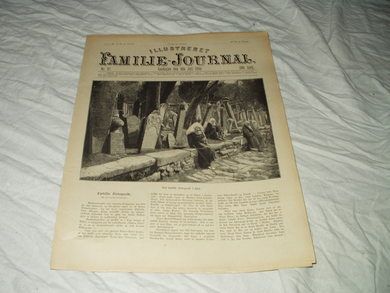 1894,nr 027, Illustrert Familie Journal.