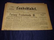 1894,nr 162, Landsbladet